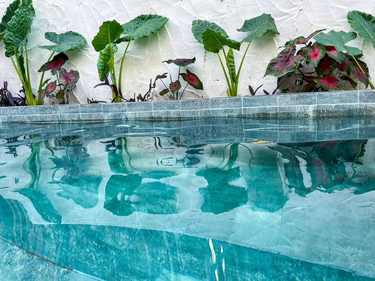Dumangue Kite House Hotel Guriu Ngoại thất bức ảnh